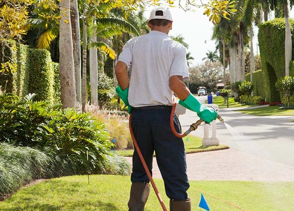 About Eglin Afb FL Pest Control